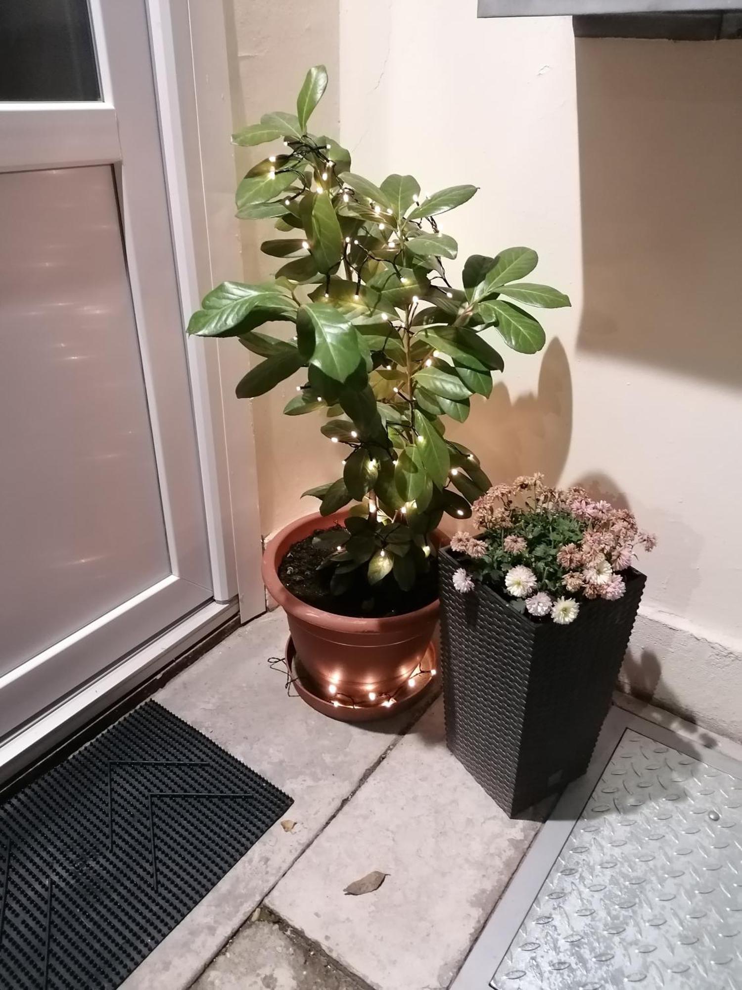 Mohacs Korona Apartman Luaran gambar